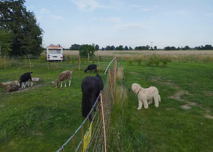 Reichsbahnwagon Campingplatz *
